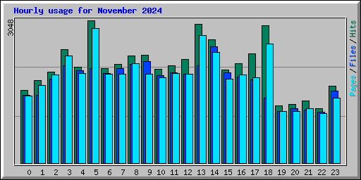 Hourly usage for November 2024