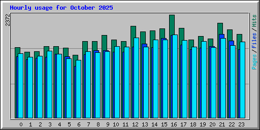 Hourly usage for October 2025